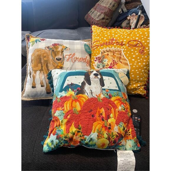 Pioneer Woman Dog Charlie Howdy Sweet as Pie Decorative Throw Pillow Set of 3 - Picture 12 of 15